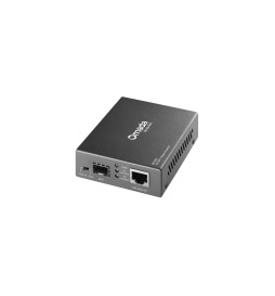 TP-LINK Omada 10G Multi-Gigabit RJ45 to 10G SFP+ Slot Supporting MiniGBIC Modules